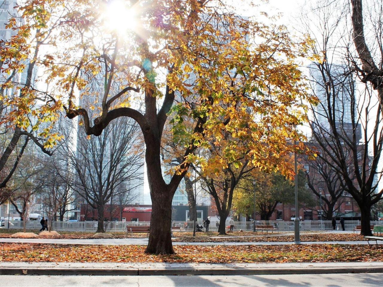 A Pousada The Clarence Park Toronto Exterior foto